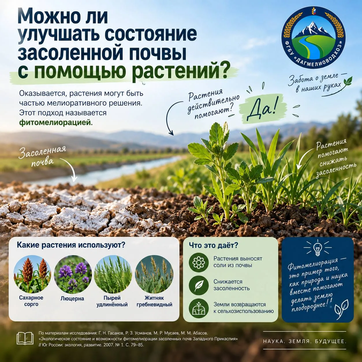 🌱 Можно ли улучшать состояние засоленной почвы с помощью растений?