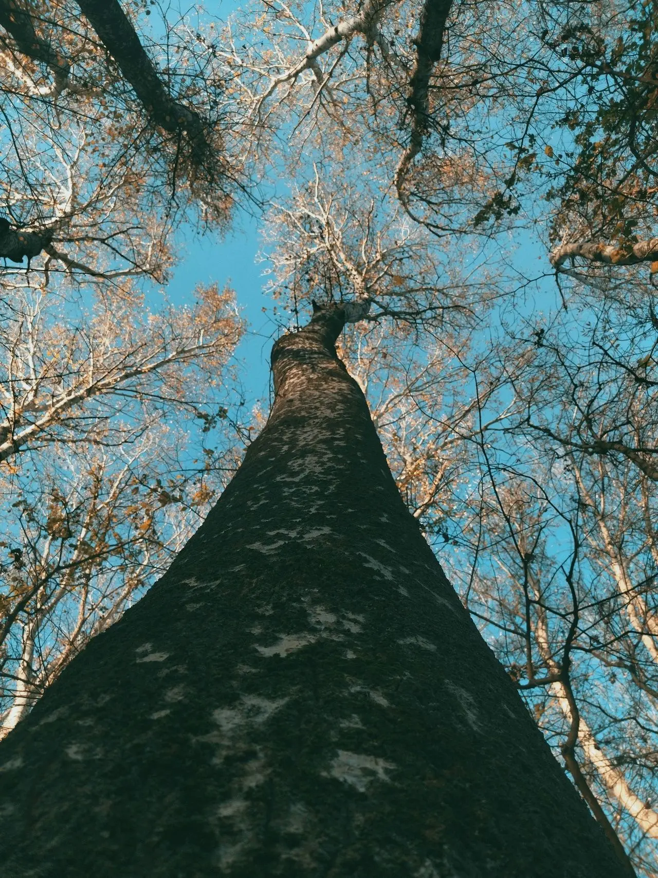 🍂 Доброе утро, Новокубанский район!