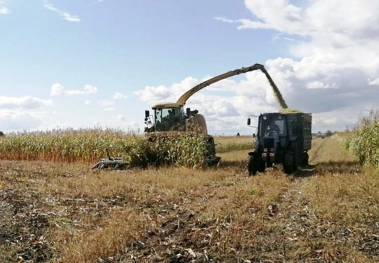 🌾 Уборочная кампания идёт полным ходом! Каждый день на поля нашего района выходит боле...