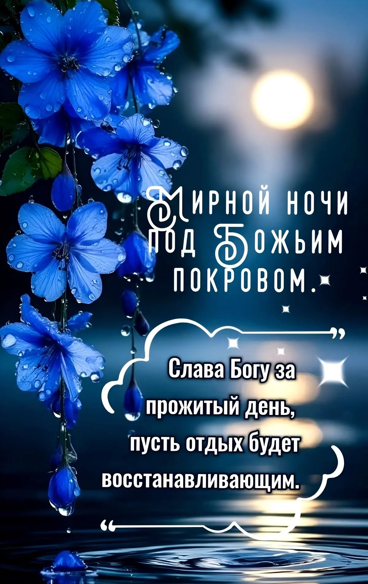 💌 Добрые открытки в MAX