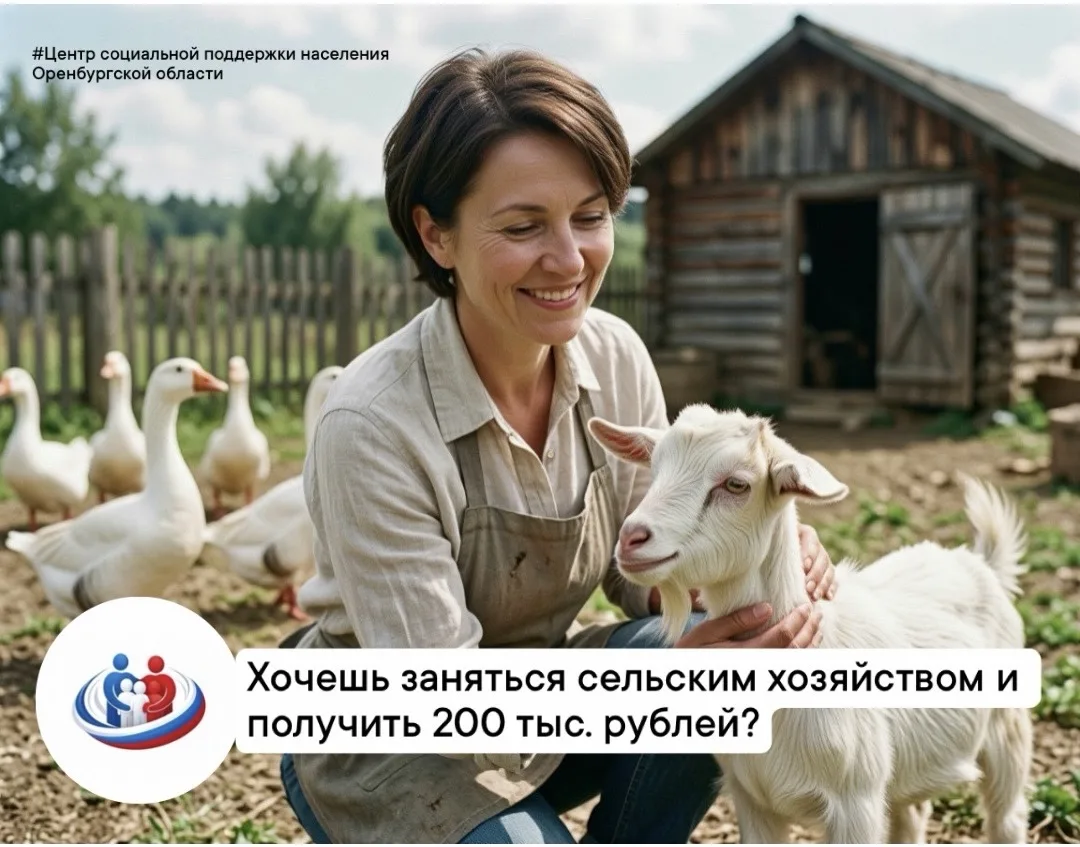 Рассказываем, как это сделать с помощью социального контракта на развитие личного подсо...