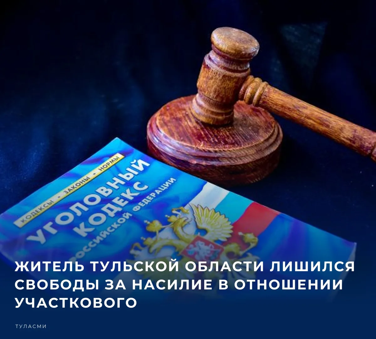 Тюремный срок получил 64-летний житель Богородицка, ранее судимый за применение насилия...
