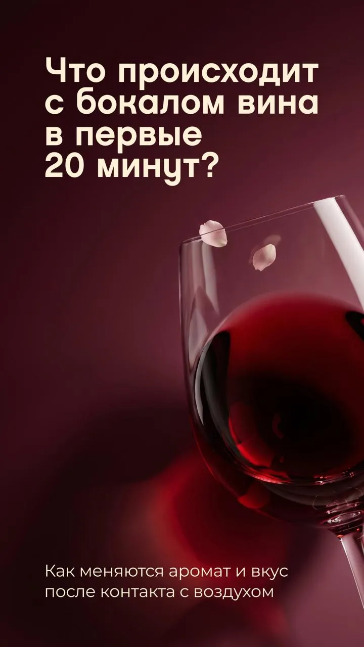 Что происходит с бокалом вина в первые 20 минут? ⌛