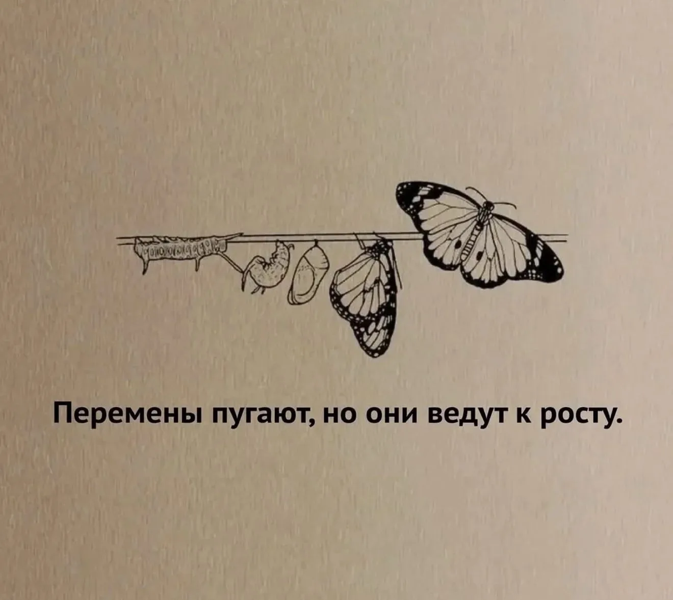 Все новое всегда страшно 😱

Где страшно -там зона роста 

Всем РОСТА ☝