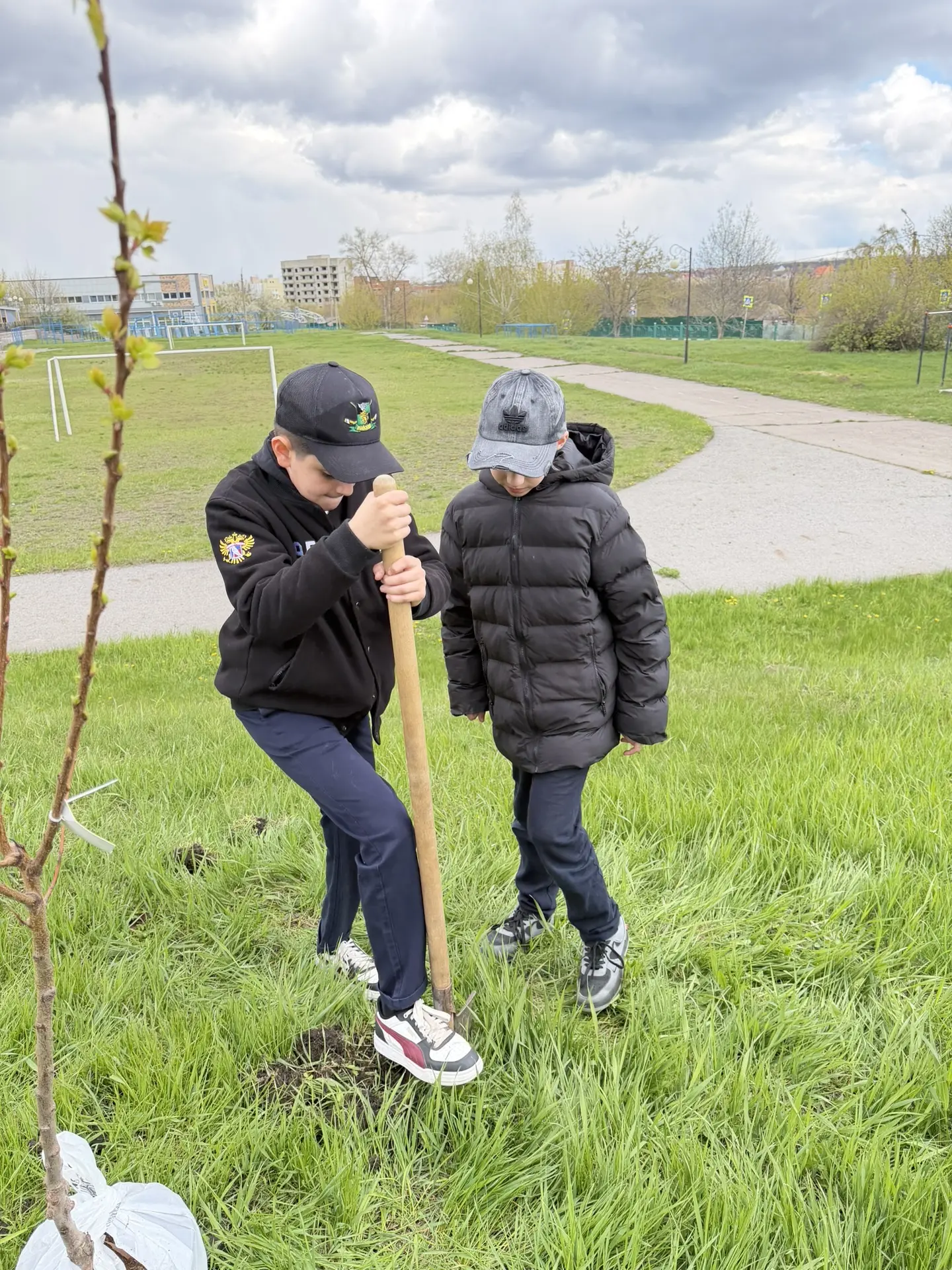 Майская гимназия присоединилась к акции "Сад Памяти" 🌳  В этом году, в преддверии 81-й годовщины Вел