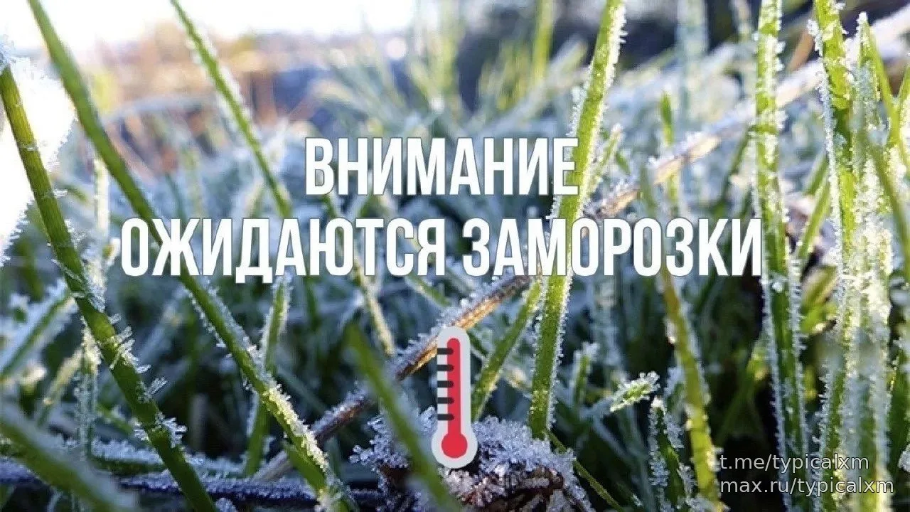 В Югру идут заморозки и мокрый снег ❄️