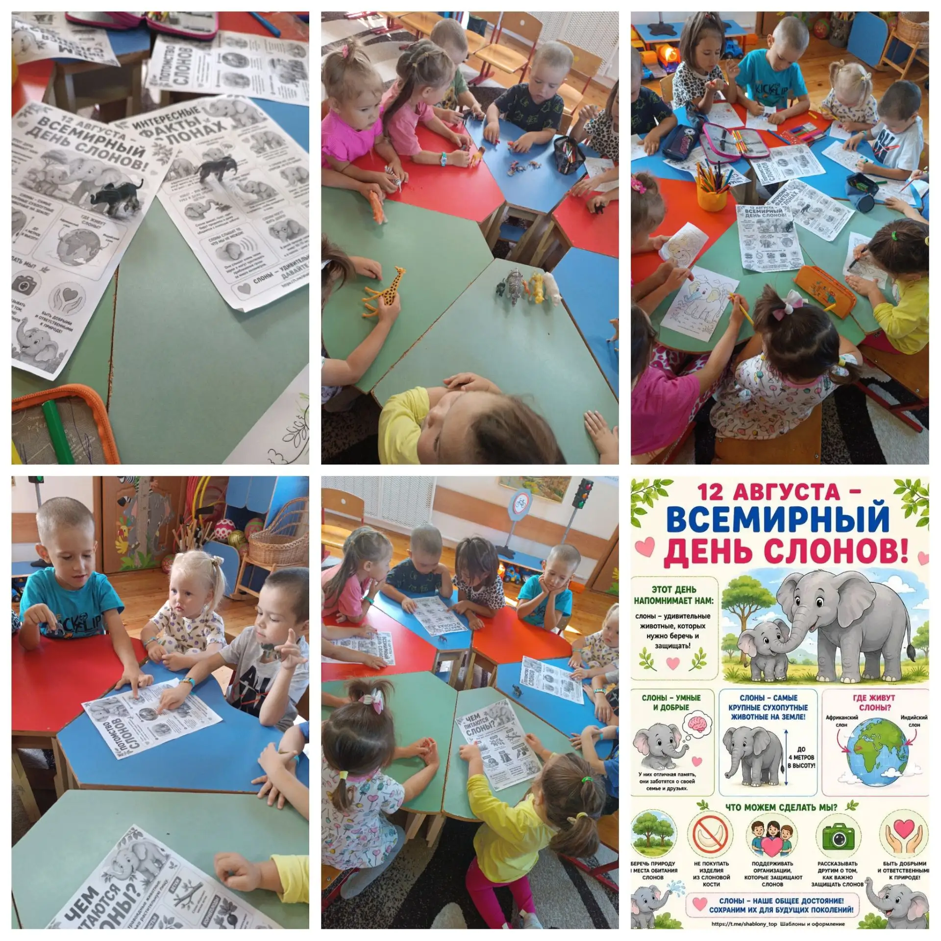 12 августа мы отметили Всемирный день слонов🐘🐘🐘! Этот день стал для наших малышей на...