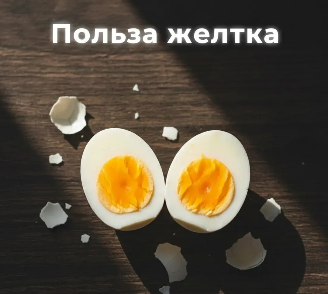 Куриное яйцо укрепляет сосуды — но только если есть его с жёлтком, а не без