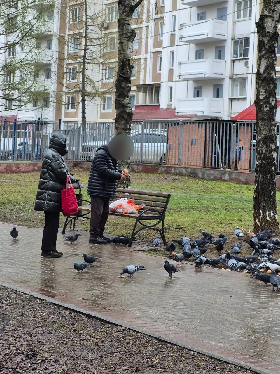 🤦 Таблички есть, а кормление продолжается