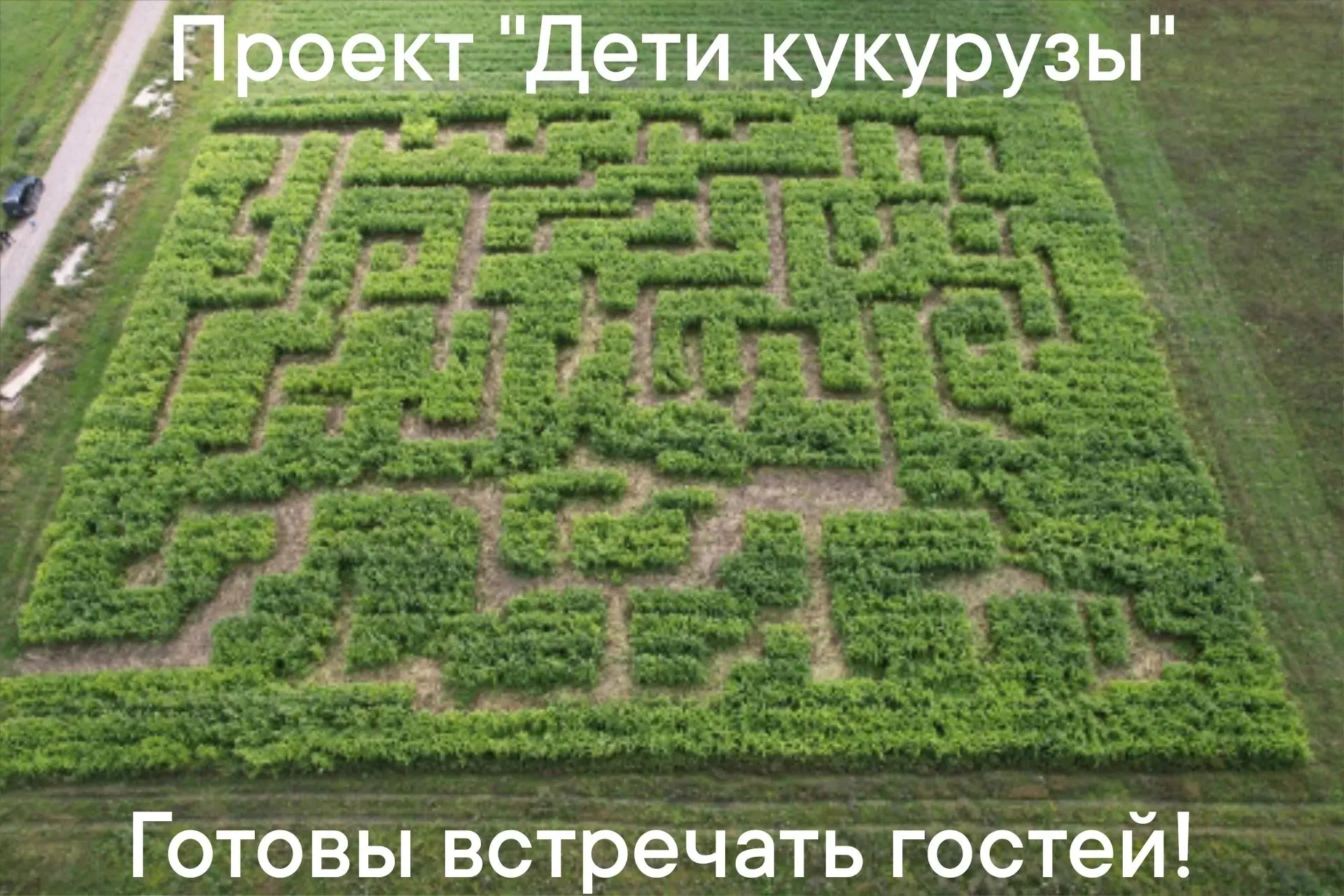 Добрый вечер. Представляем Вашему вниманию кульминацию нашего проекта - ЛАБИРИНТ площад...