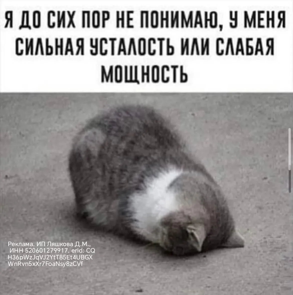 Кто устал "стараться" в своем канале, но доход всё так и не растёт?

Не понимаете, почему регулярно 