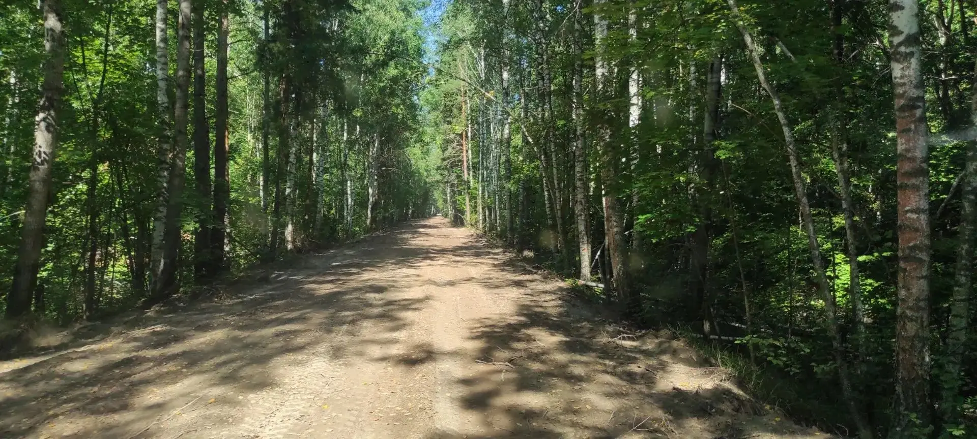 Цнинский лесхоз проводит масштабную работу по защите лесов 🌲
