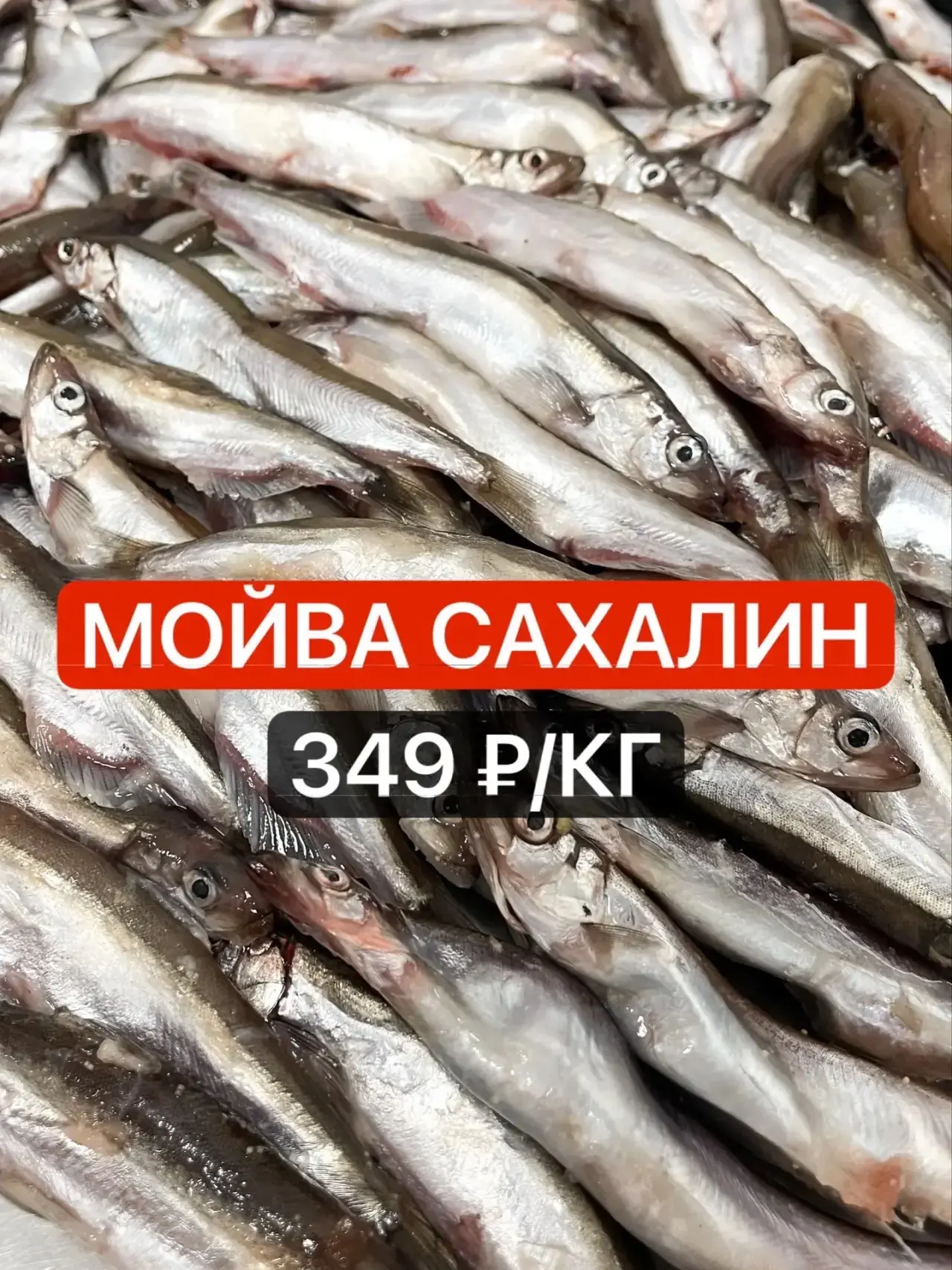 🎉🎉 УРААА! СНОВА В НАЛИЧИИ! 🎉🎉
Сахалинская мойва уже приехала и ждёт вас во всех магазинах Красно