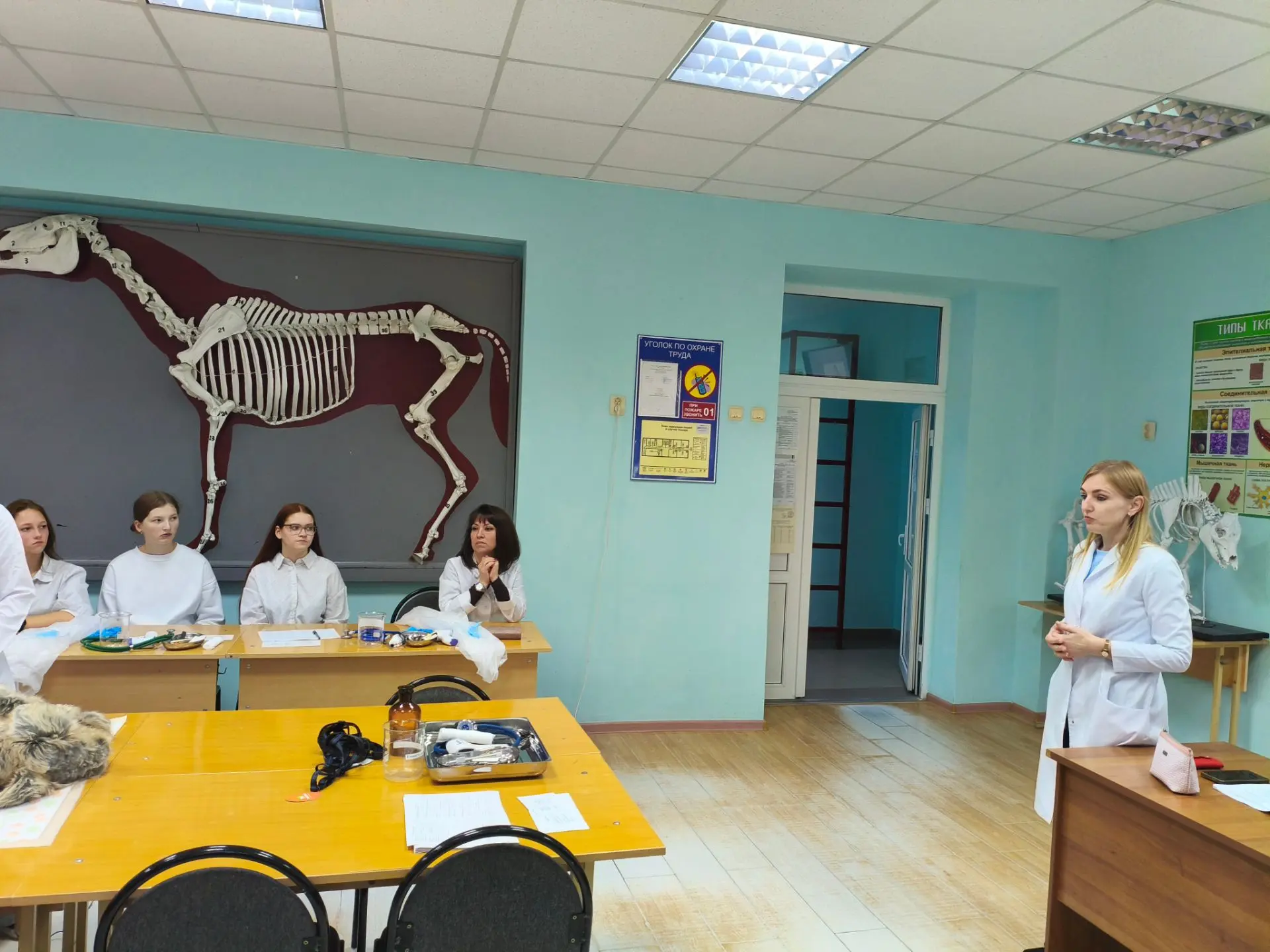 29 сентября в рамках сетевого взаимодействия и профоринтационной направленности обучающ...