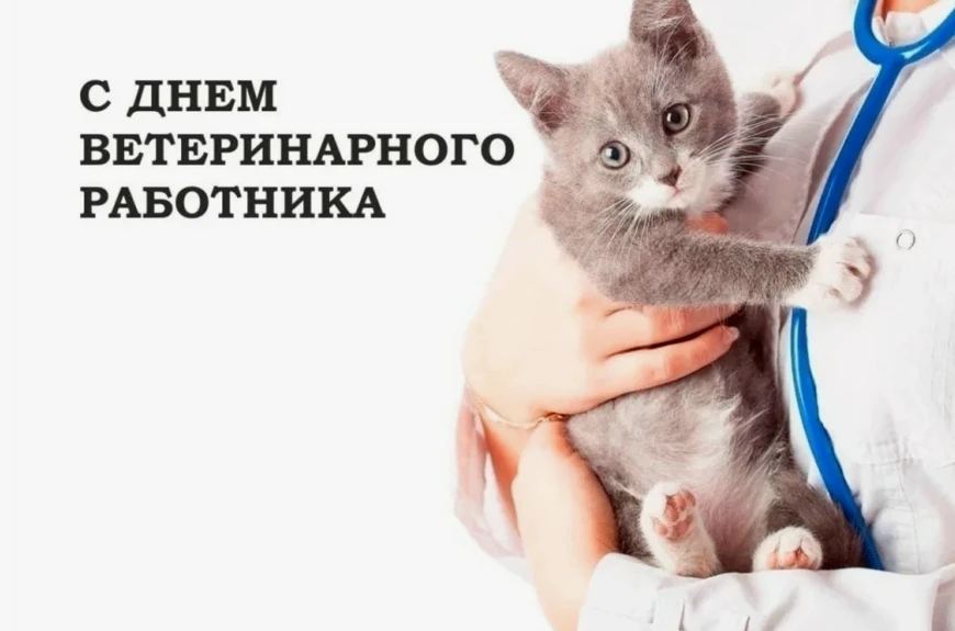 Уважаемые жители и гости района!