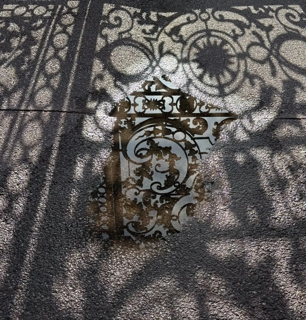 ✨ Фото дня