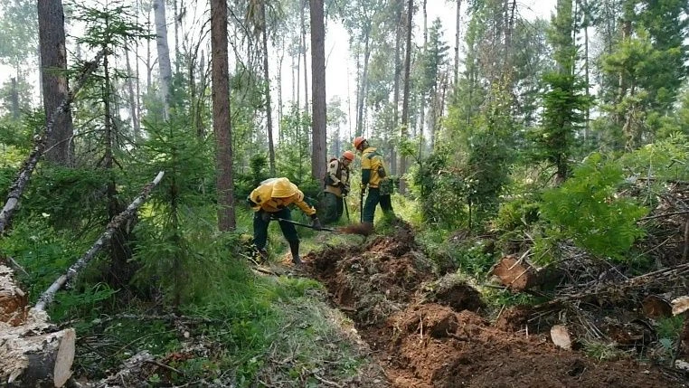 Пока в Архангельской области лесопожарная обстановка остается стабильной, наши специали...