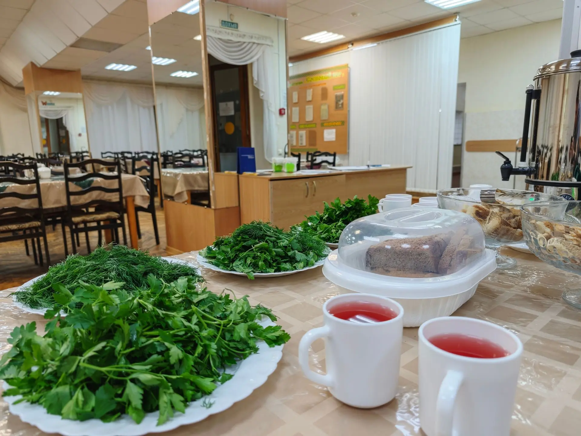 🍲 Качественное питание — важная часть оздоровления в санатории «Сосновый бор».