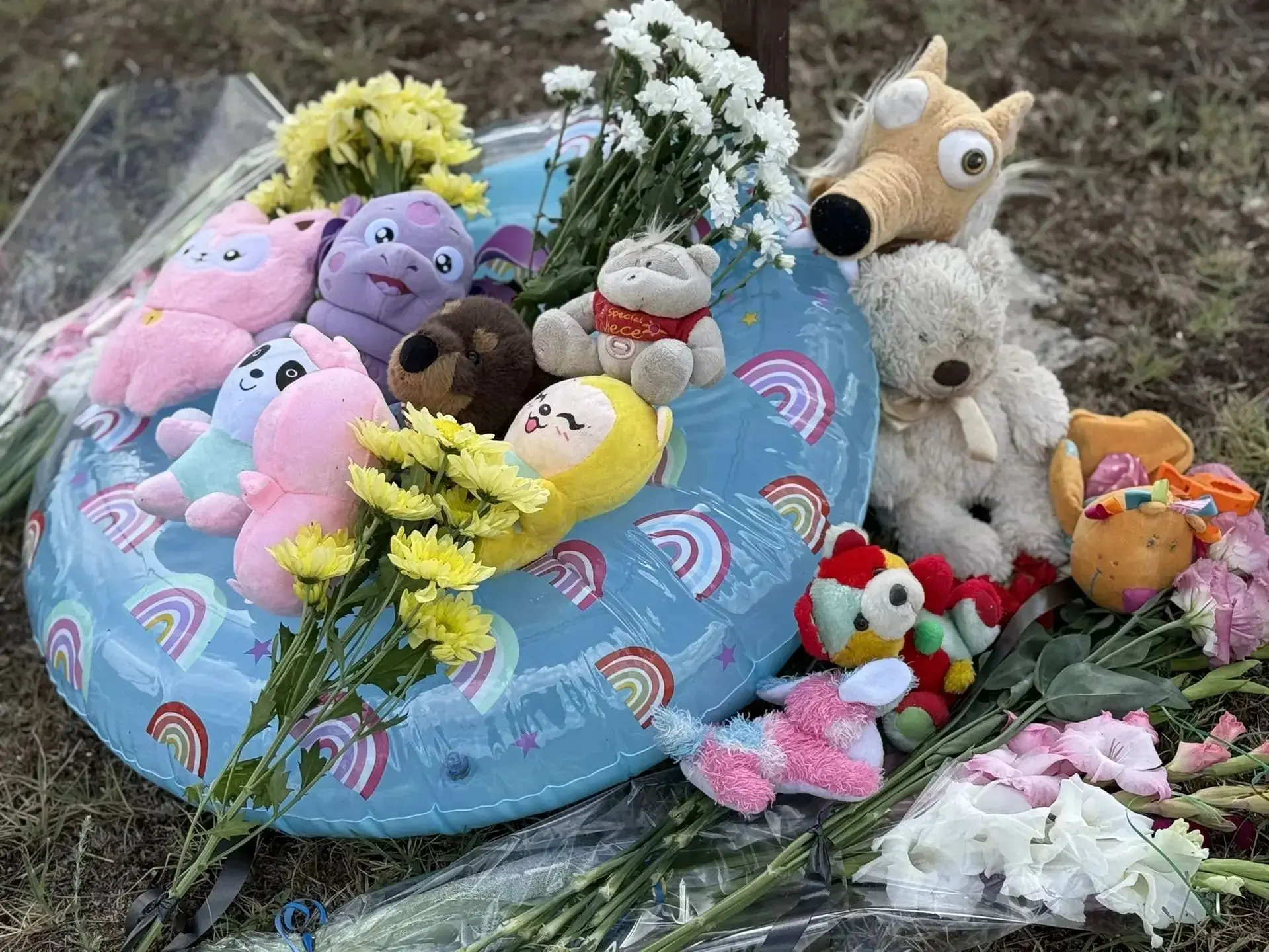 Стихийный мемориал погибшим в результате удара ВСУ в запорожской Кирилловке

Жители несут игрушки и 