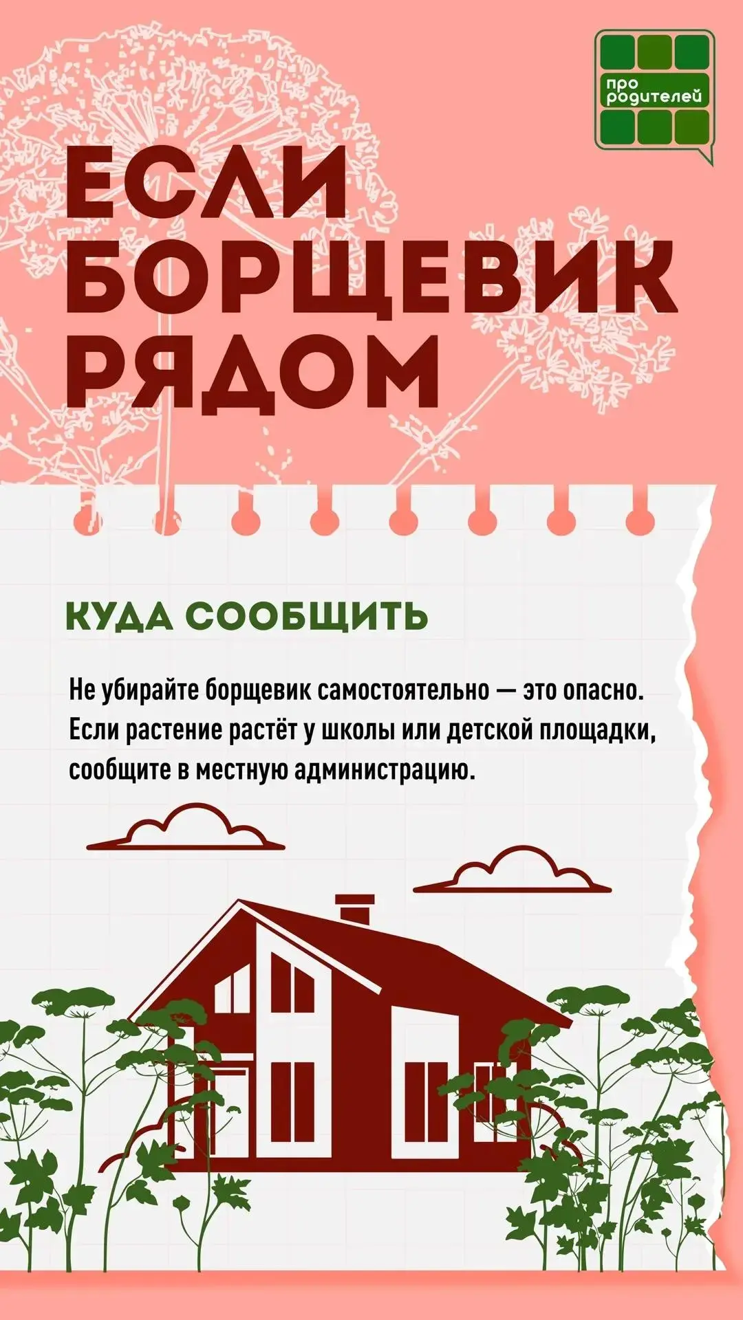 ❗️ Не обожгись: главные правила безопасности с борщевиком 
 
🏖 Лето — пора, когда дети чаще всего п