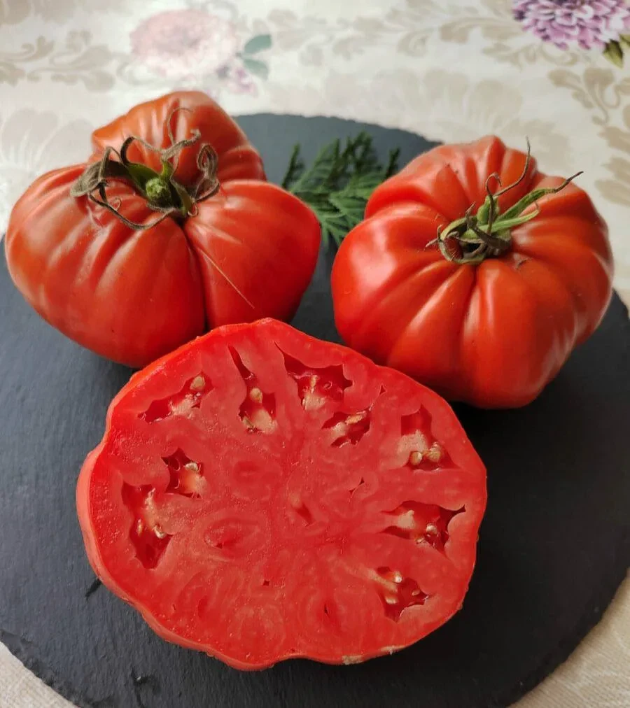 🍅 Топ-5 семян самых мясистых томатов
