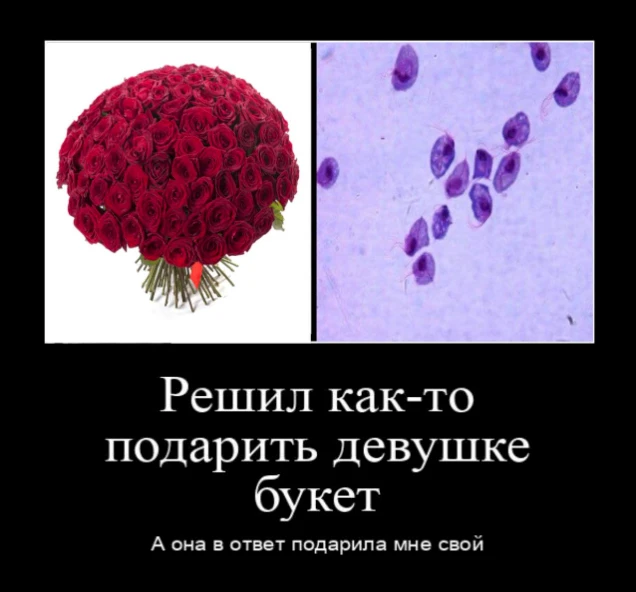 Продолжаем нашу рубрику «поставь диагноз мему»