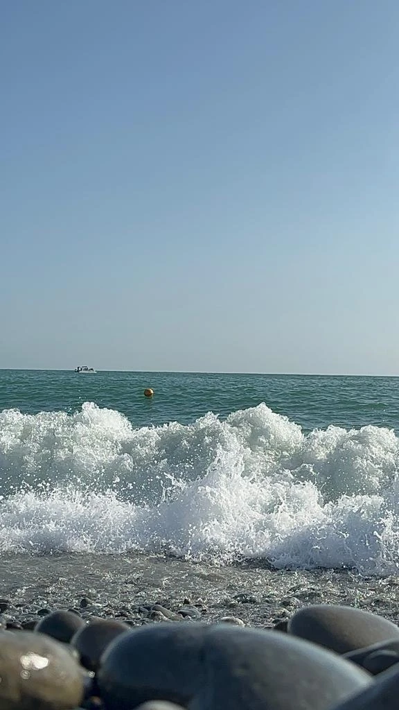 🏖 Отдыхающие в Небуге обратили внимание на вопрос безопасности на пляжах

В социальных сетях появил
