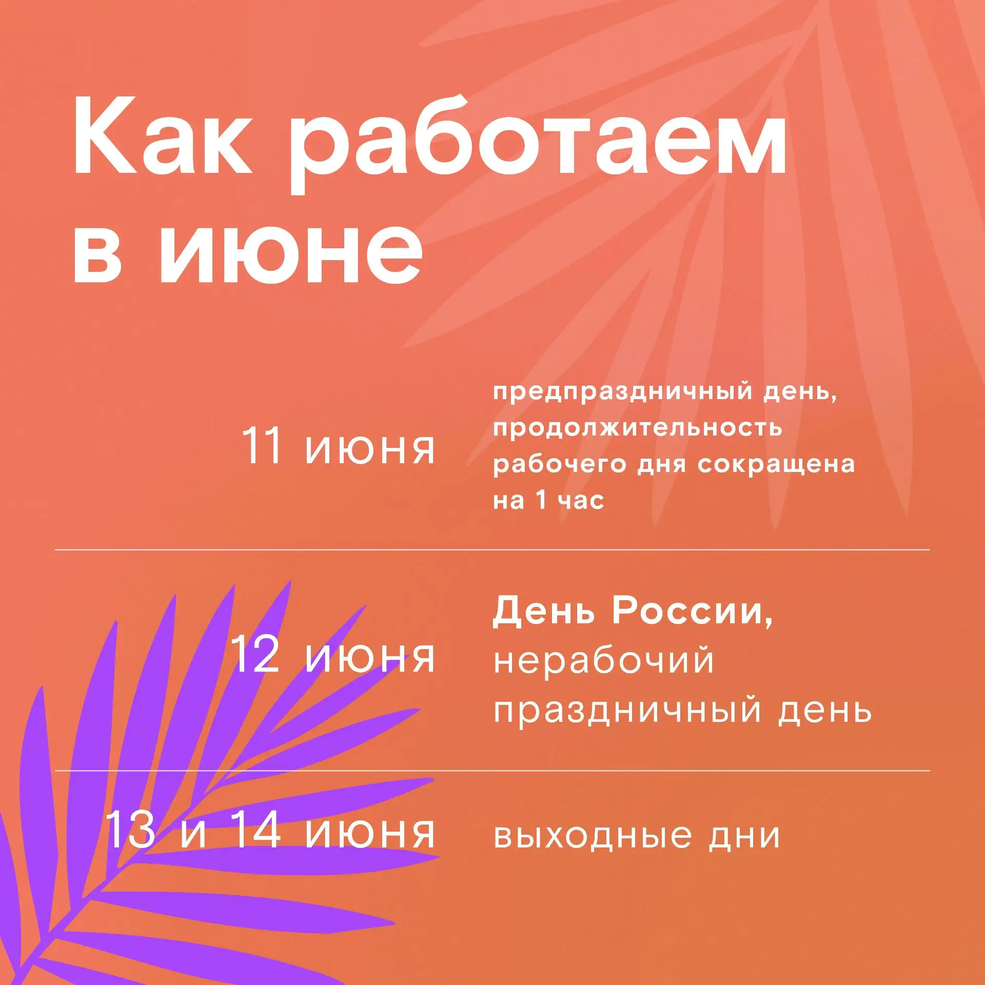 Мы, кажется, знаем, чем вы займетесь в ближайшие длинные выходные 😉