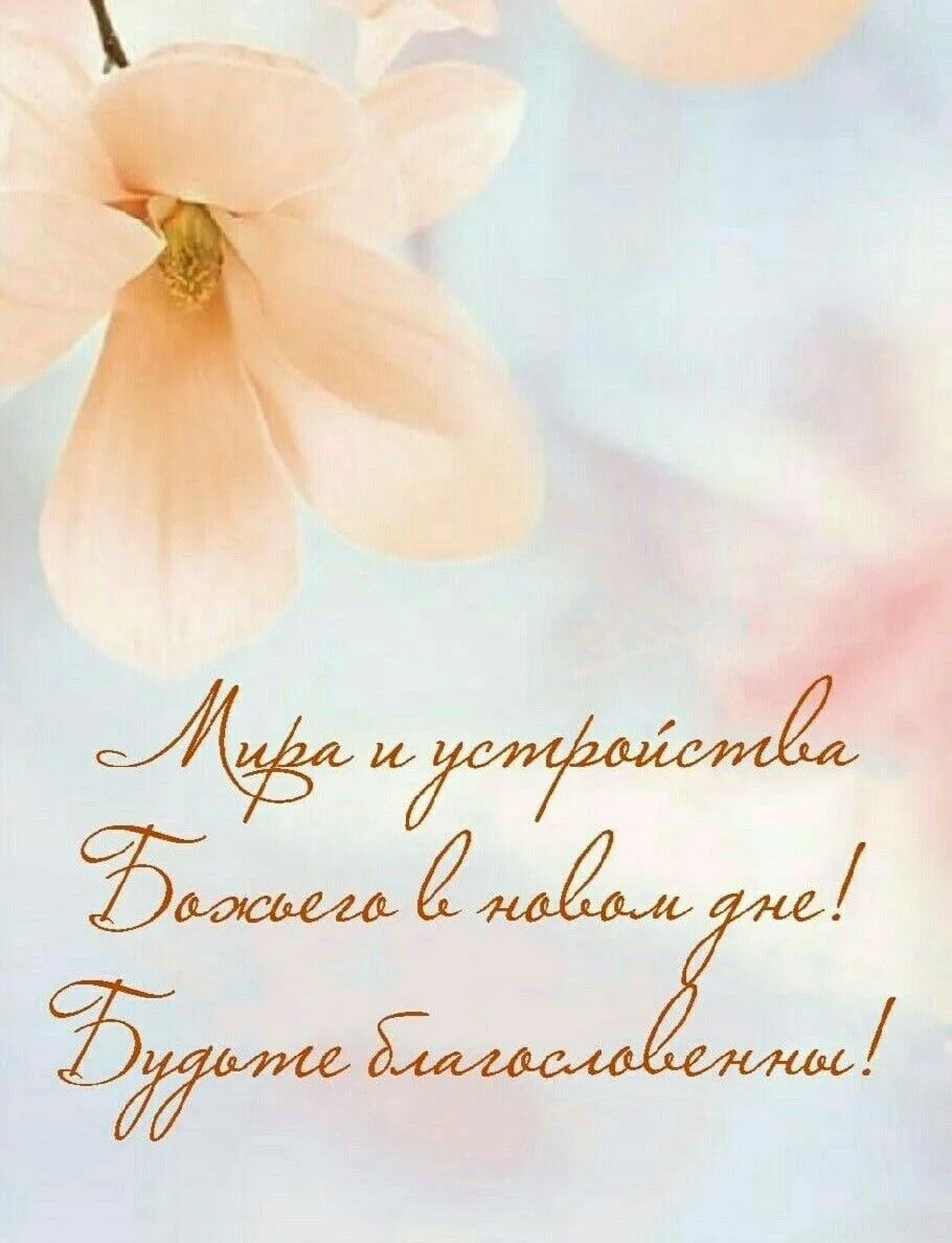 Мои открытки