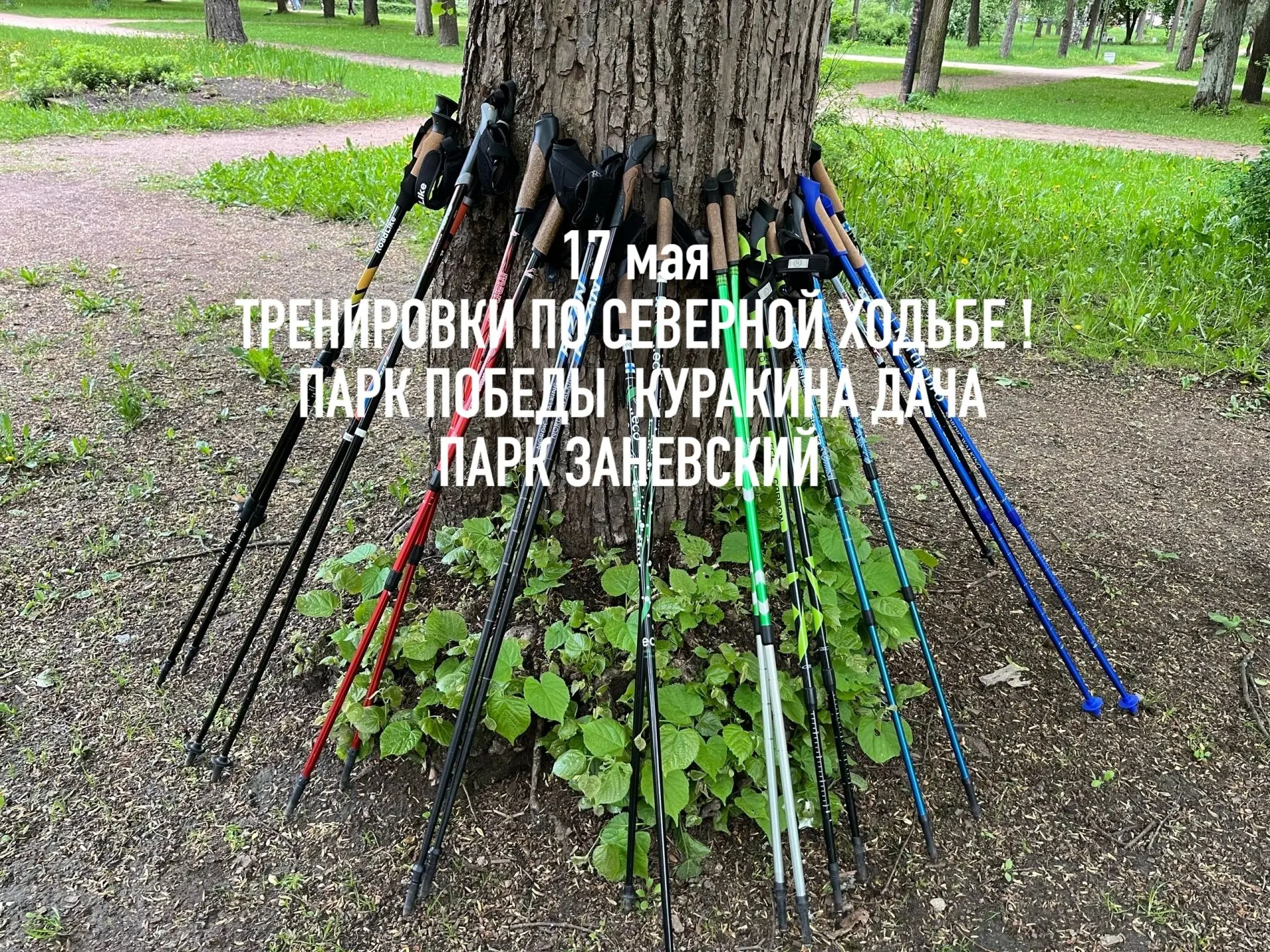 17 июня, ждем на тренировки всех, кто хочет активно подвигаться, узнать что-то полезное и новое для 
