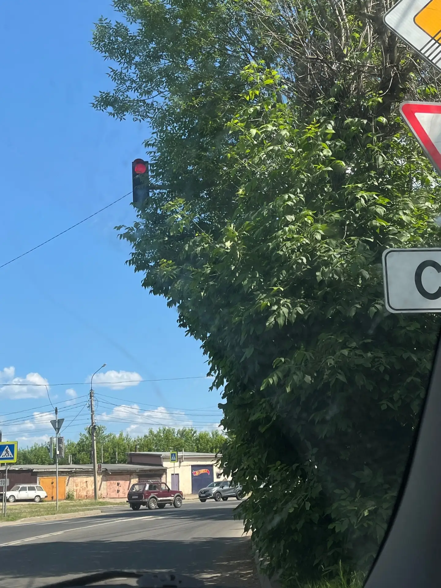 Администрация, срочно возьмите ножницы! ✂️🚦

Кусты на перекрёстке Ю. Смирнова  и Шагова. Маскировка