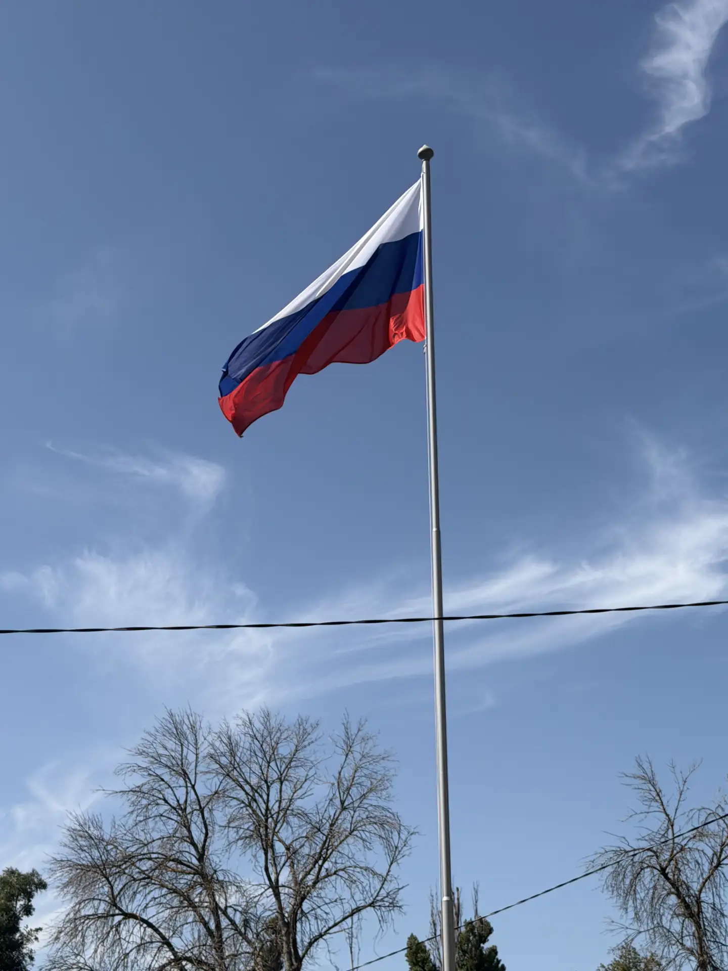 🎉 Сегодня в нашей школе прошло яркое мероприятие, посвящённое Дню Государственного фла...