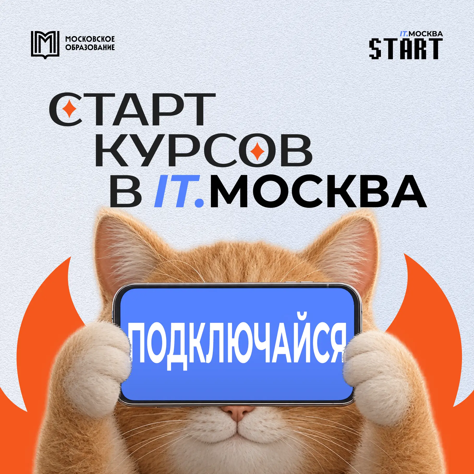 Ну что, погнали? С 1 октября стартовали наши курсы дополнительного образования! 💥