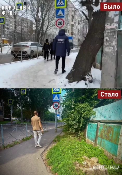 ↗️ На улице Осипенко в Орле спилили деревья