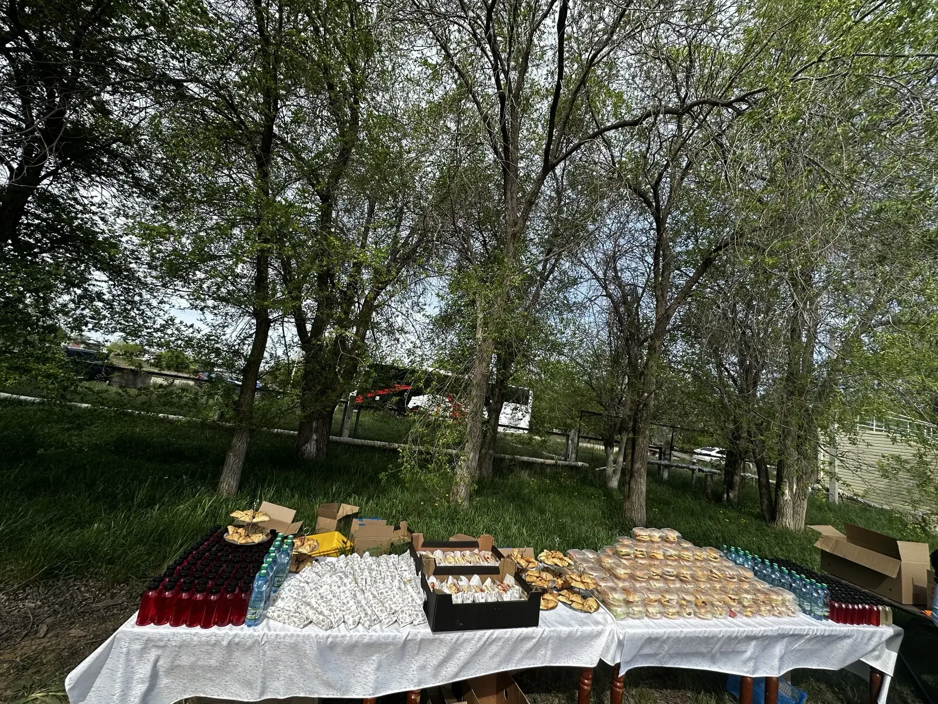 16 мая «Лукоморье» работало не как санаторий, а как полевая кухня с душой.