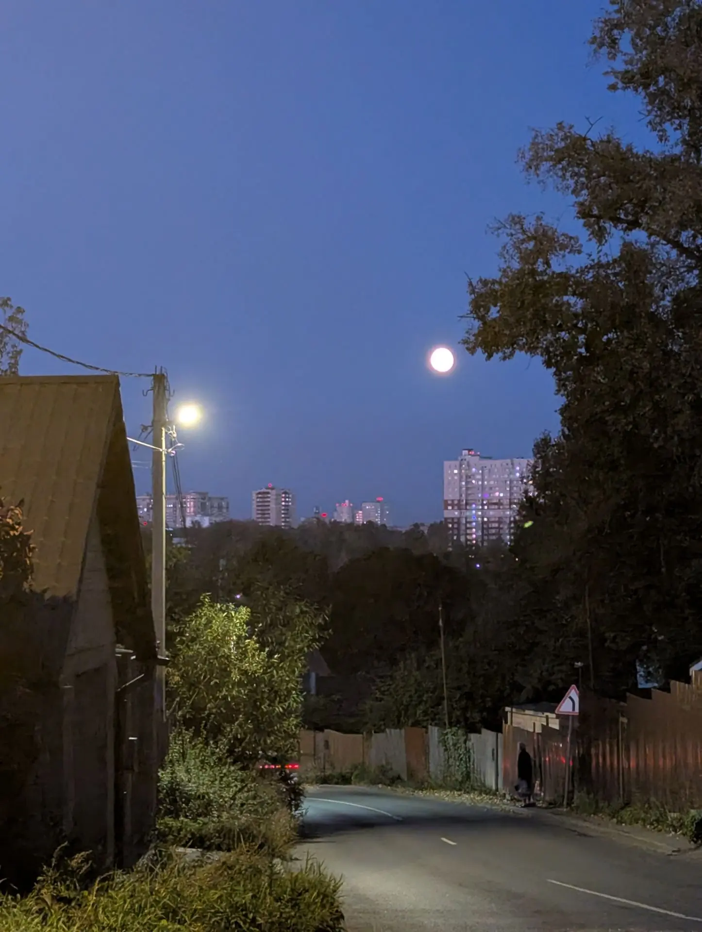 Этой ночью луна была прекрасна 🌝