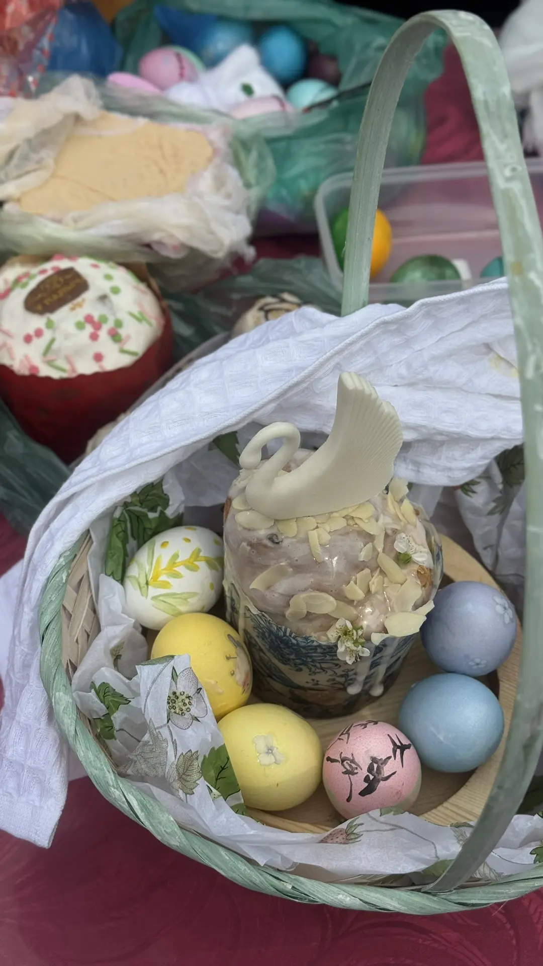 Зарисовки жизни последних суток 🪺