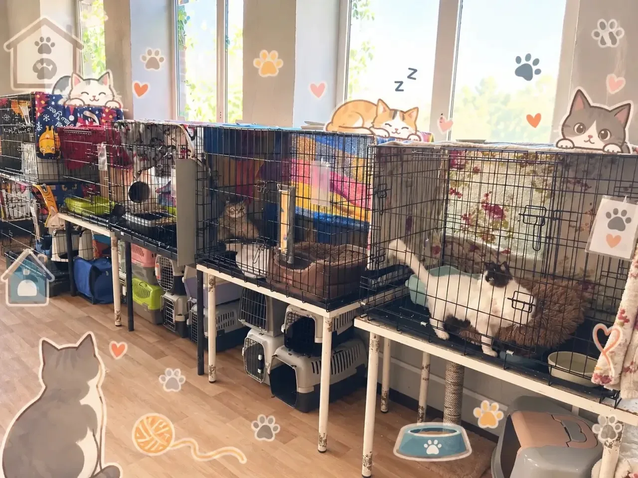 🐾Во Всемирный день защиты животных говорим огромное спасибо всем, кто стал частью добр...
