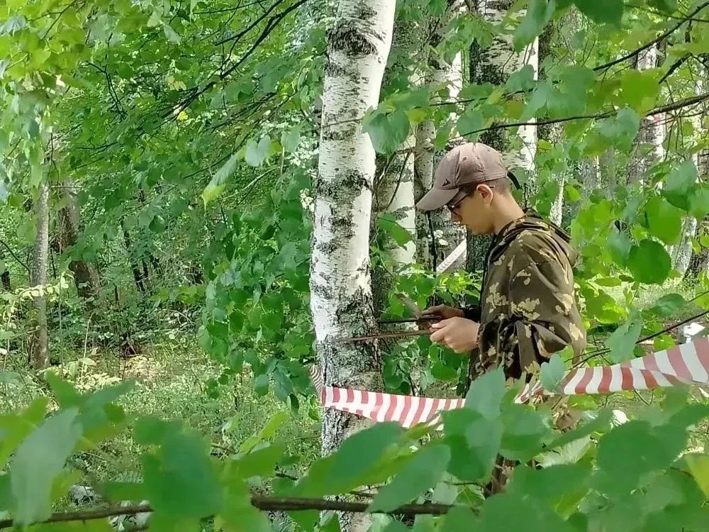 🌿Областной Слет школьных лесничеств объединил 11 лучших команд ценители природы

Мероприятие прошло