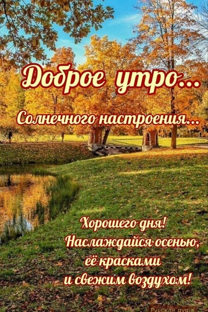 Доброе утро и хорошего дня!❤️