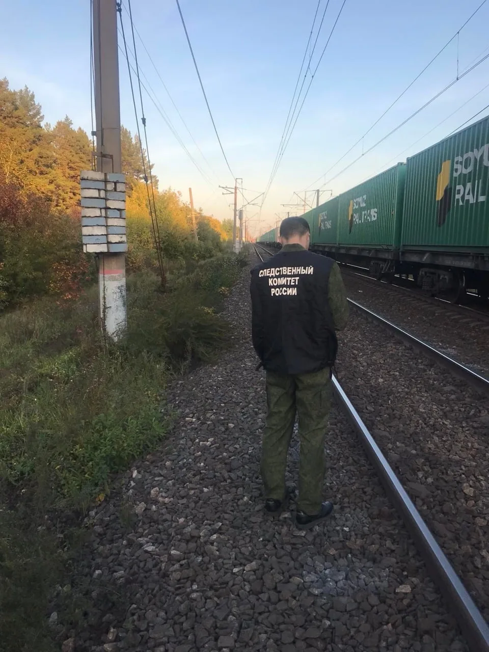 В Котельничском районе поезд насмерть сбил пенсионера

Вечером 5 июля на перегоне «Иготино – Котельн