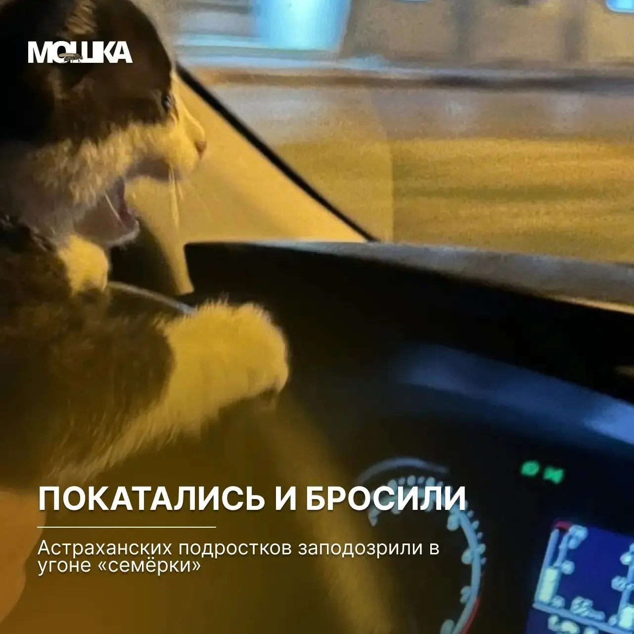 Покатались и бросили: астраханских подростков заподозрили в угоне «семёрки»

Трое несовершеннолетних