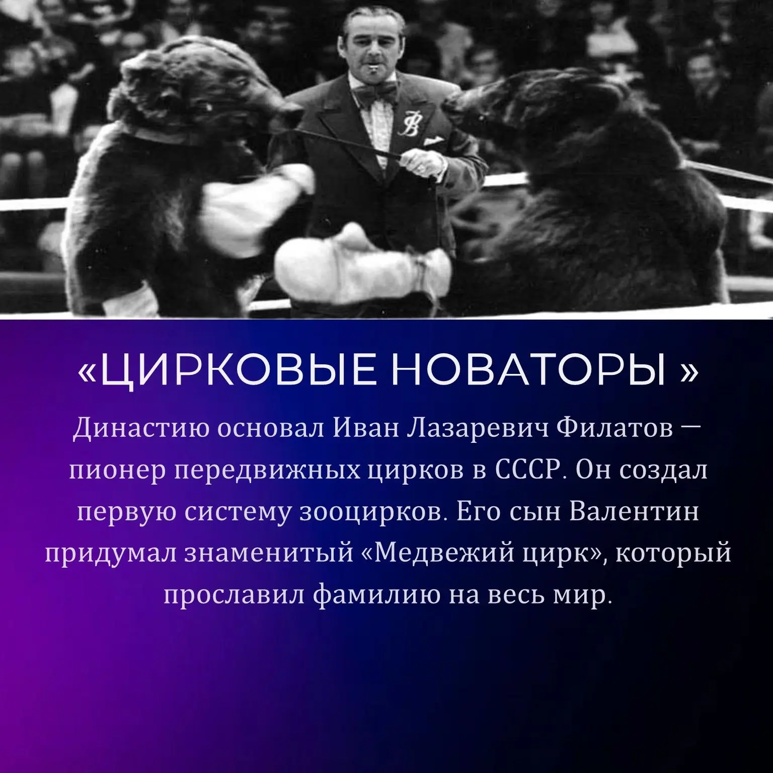 Продолжаем нашу рубрику «За кулисами русского цирка»!