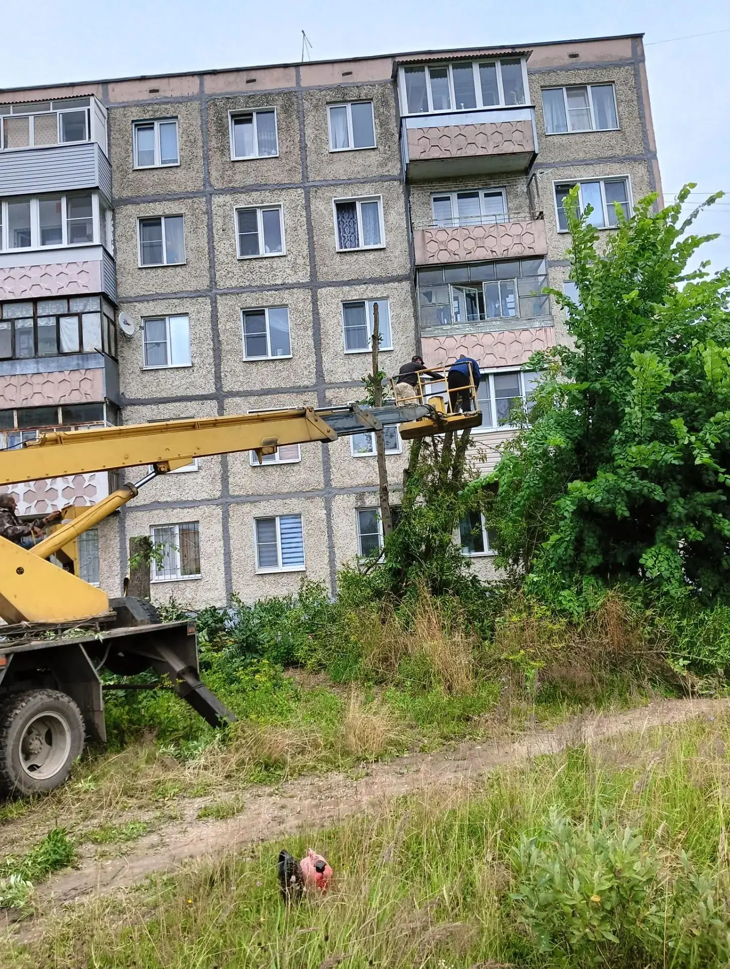 ✅Отчёт о проделанной работе 
На прошлой неделе были проведены работы по опиловке деревьев.
📍Адрес: 
