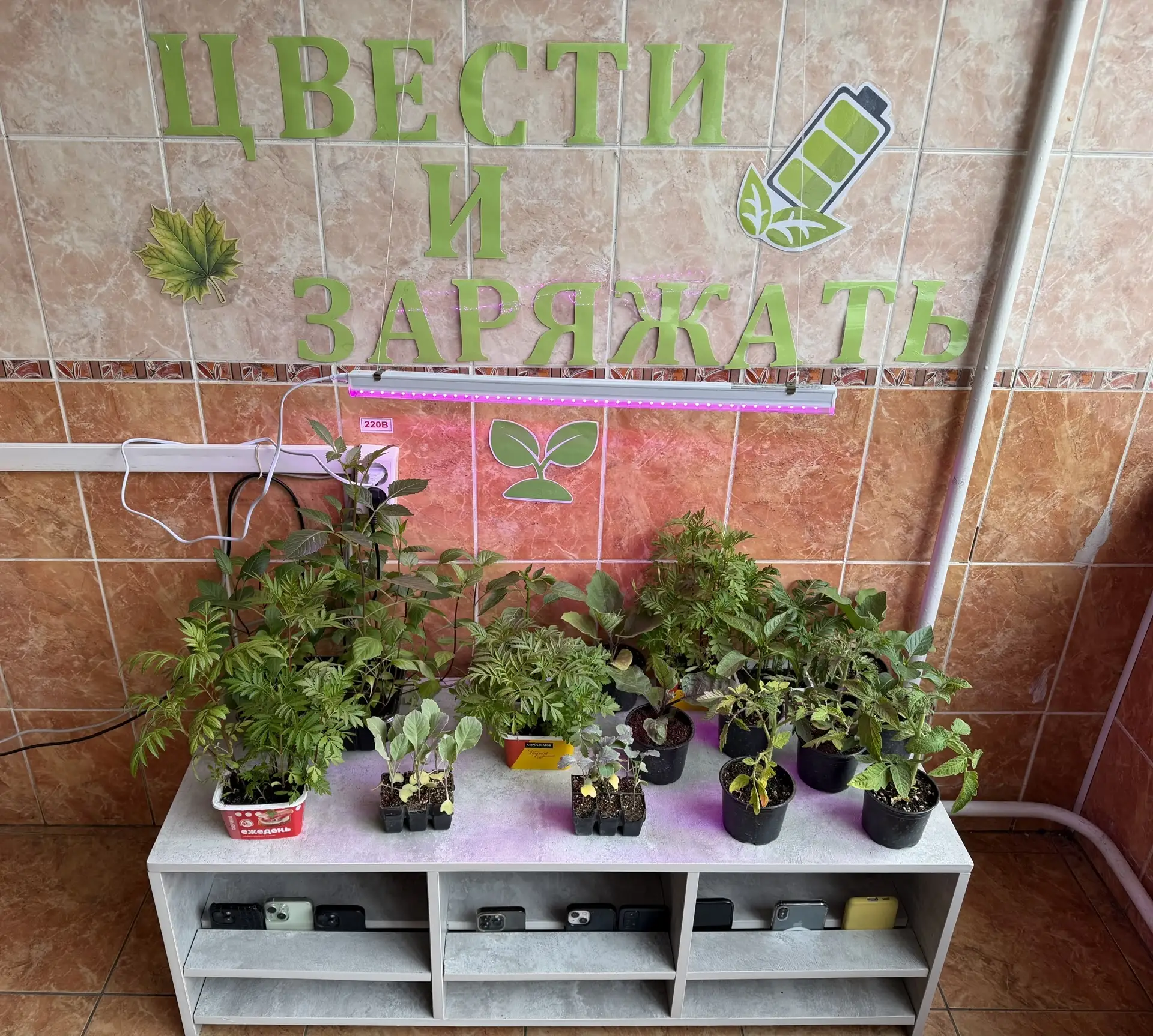 ⚡️ От идеи к делу: проект «Цвести 🍃 и заряжать 🔋» запущен!  Помните нашу стратегическую сессию со ст