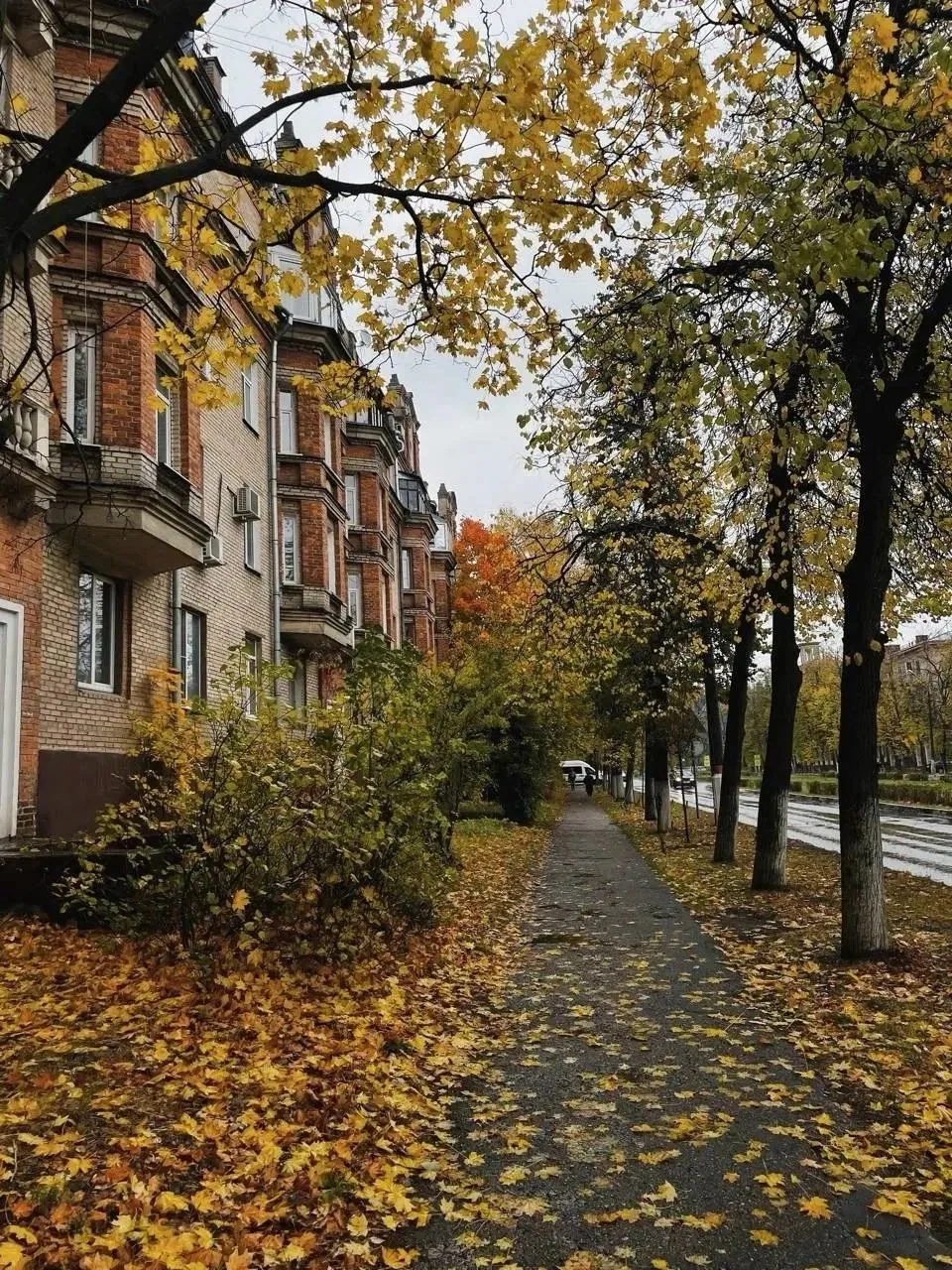 Уютной золотой осени! 🍂🍁