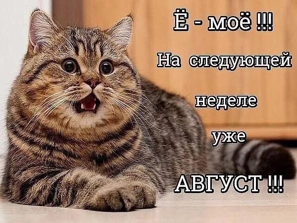 Список качественных каналов в МАКС | Смотреть ❤️