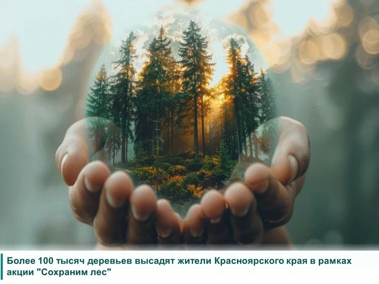Этой осенью жители Красноярского края вновь примут участие во Всероссийской акции «Сохр...