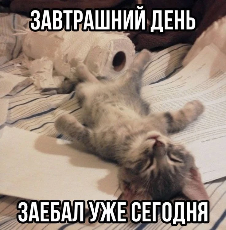 Жиза?