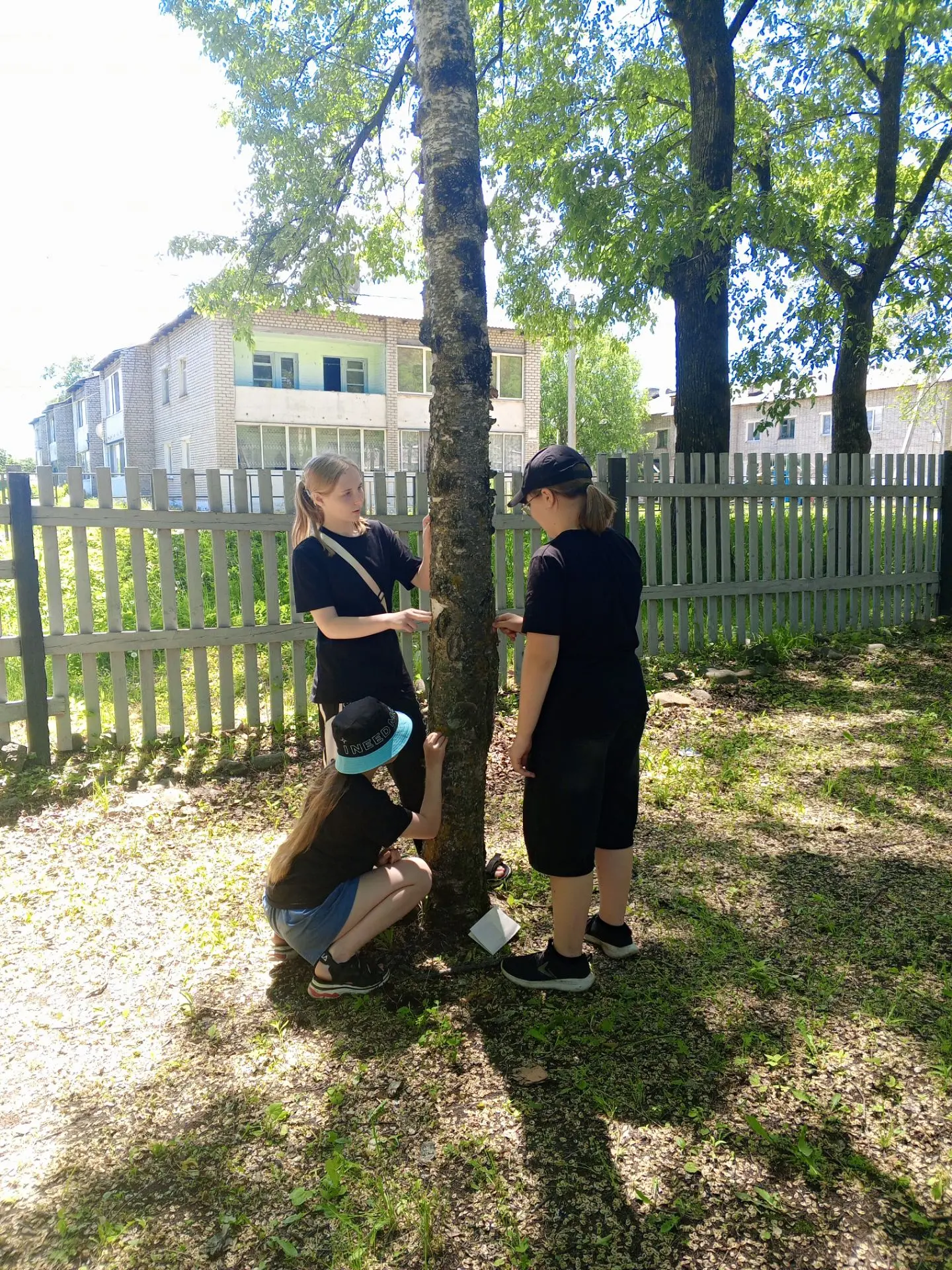 ☀️ Сегодня в нашем летнем лагере — День леса! 🌳  

Ребята отряда «Экодозор» провели исследовательск